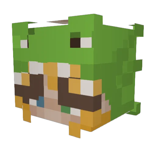 irgendsoenname Minecraft avatar head, 3D render