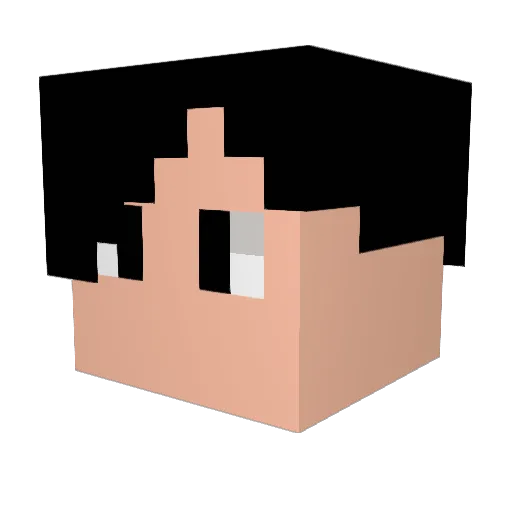 irhigasu Minecraft avatar head, 3D render