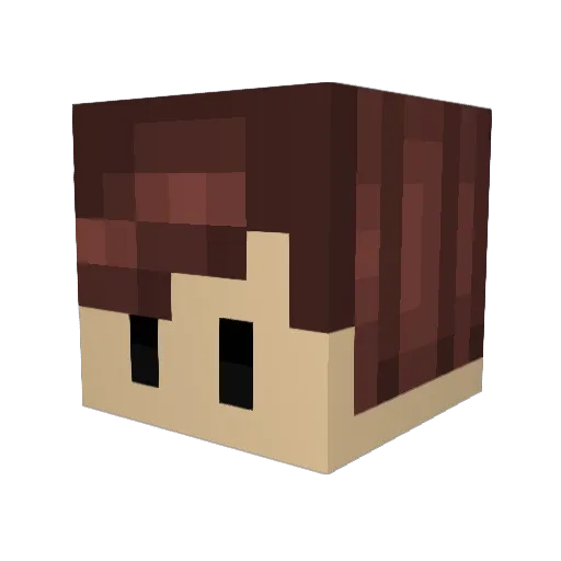 iridie Minecraft avatar head, 3D render