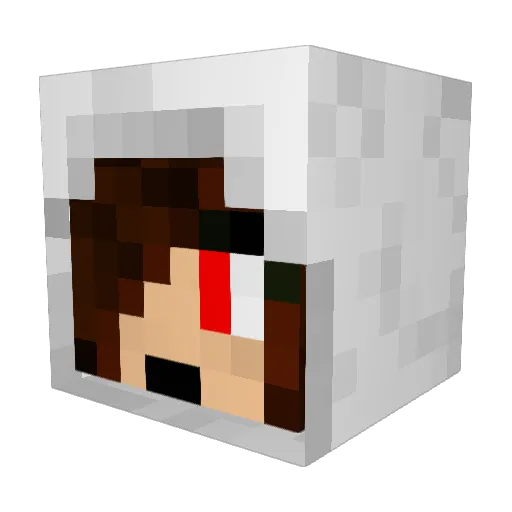 iriscat24 Minecraft avatar head, 3D render