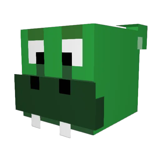 irishhippo Minecraft avatar head, 3D render