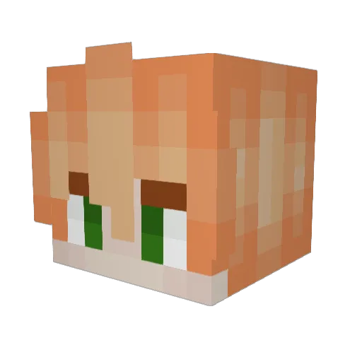 irishweech Minecraft avatar head, 3D render