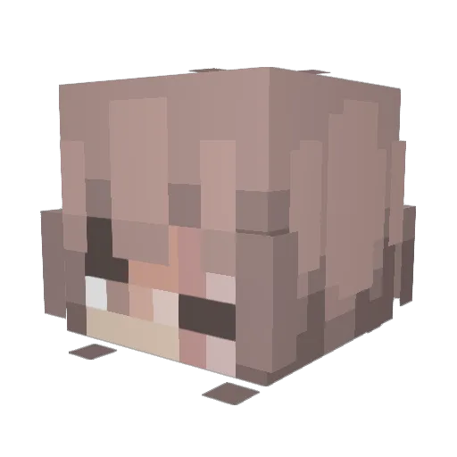 irisone Minecraft avatar head, 3D render