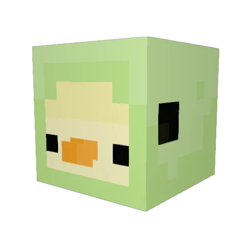 irisrwrb Minecraft avatar head, 3D render