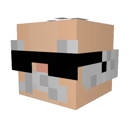 iriuqut Minecraft avatar head, 3D render