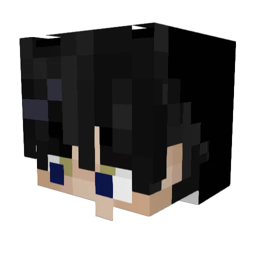 irlDucks Minecraft avatar head, 3D render