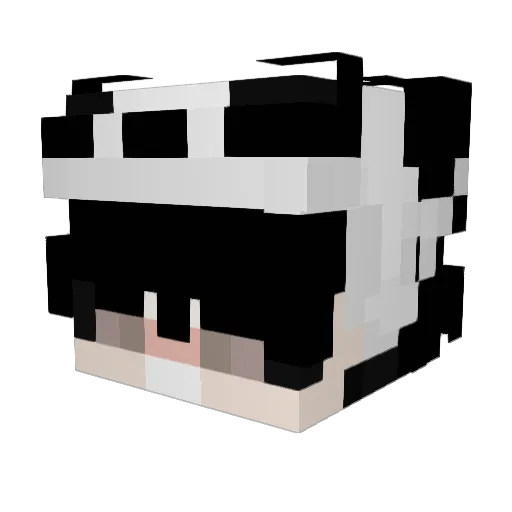 irlPanda_ Minecraft avatar head, 3D render