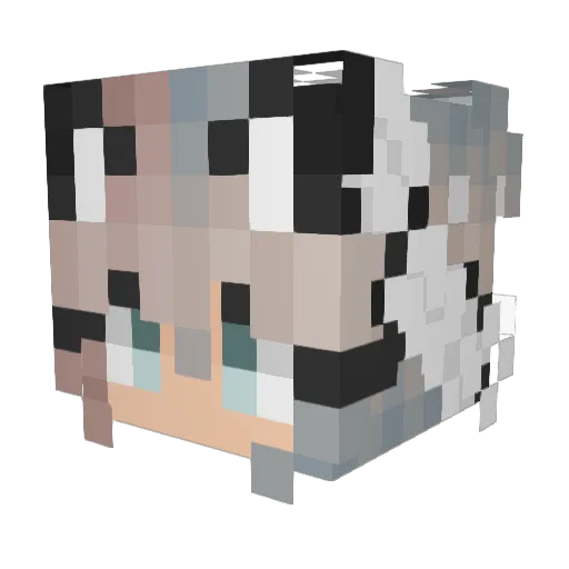 irl__waifu Minecraft avatar head, 3D render