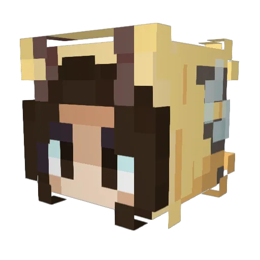 irldantdm Minecraft avatar head, 3D render