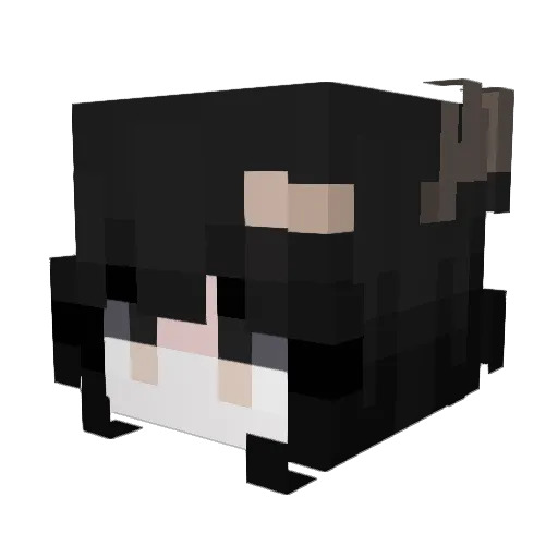 irlelf Minecraft avatar head, 3D render