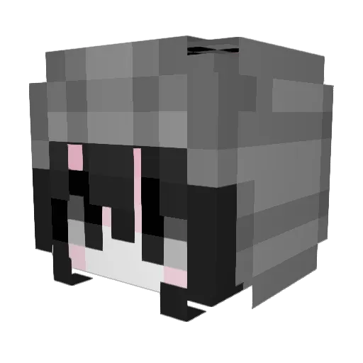 irlyosano Minecraft avatar head, 3D render