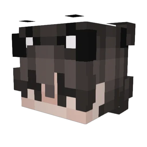 irmahhh Minecraft avatar head, 3D render