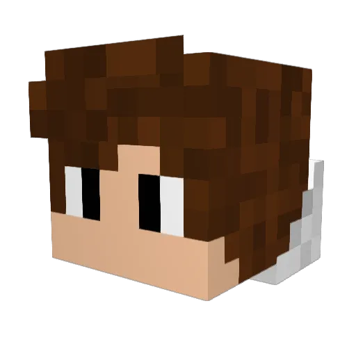 ironfist451 Minecraft avatar head, 3D render