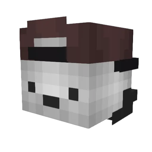 ironpig_ Minecraft avatar head, 3D render