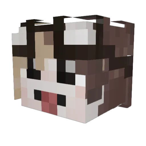 irr3mortal Minecraft avatar head, 3D render