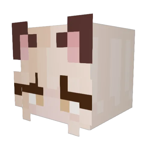 irrerivan Minecraft avatar head, 3D render