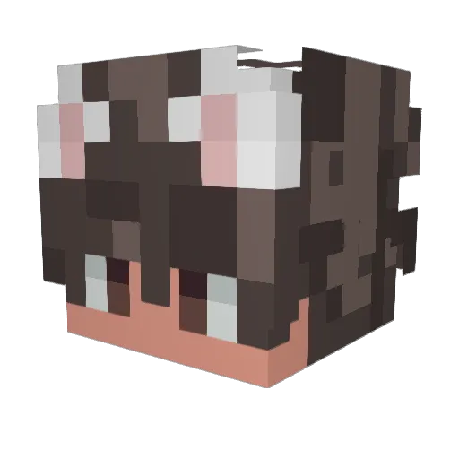 iruy13 Minecraft avatar head, 3D render