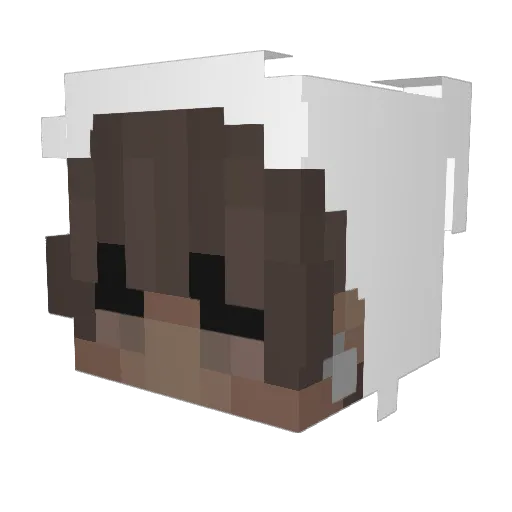 irwnman Minecraft avatar head, 3D render