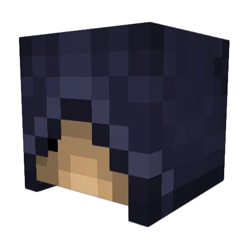 is5q Minecraft avatar head, 3D render