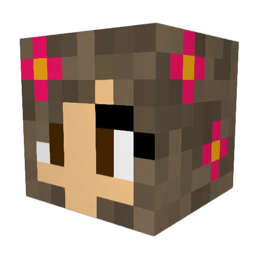 isa346 Minecraft avatar head, 3D render