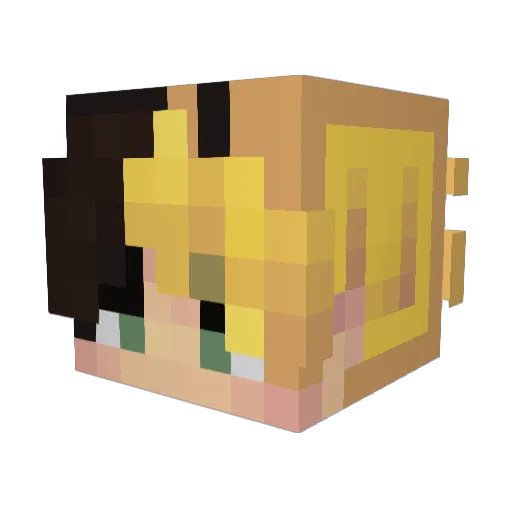 isa_TR_57 Minecraft avatar head, 3D render