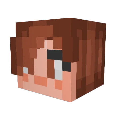 isaacwitlatch134 Minecraft avatar head, 3D render