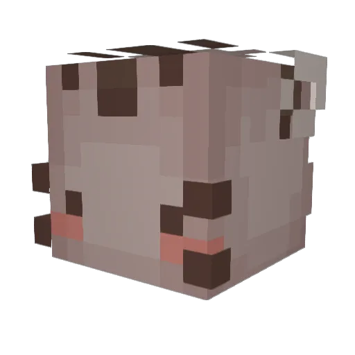 isab3llaaaaa Minecraft avatar head, 3D render