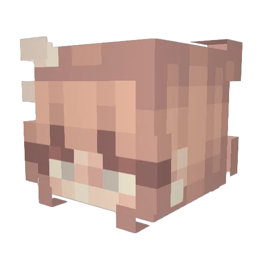 isabelle0mg Minecraft avatar head, 3D render