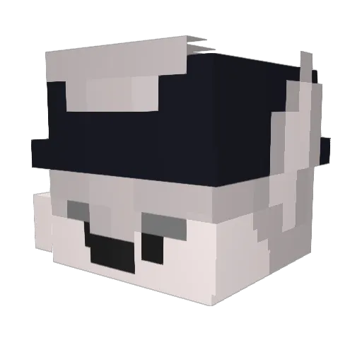 isaisbae Minecraft avatar head, 3D render
