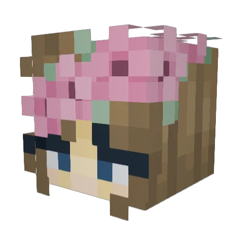 isakatten Minecraft avatar head, 3D render