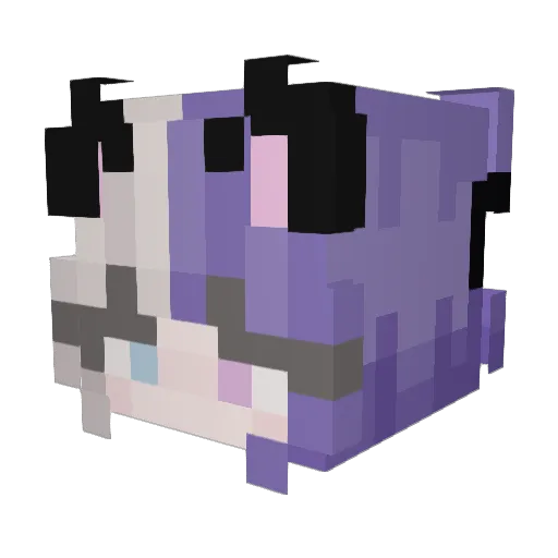 isala1205 Minecraft avatar head, 3D render