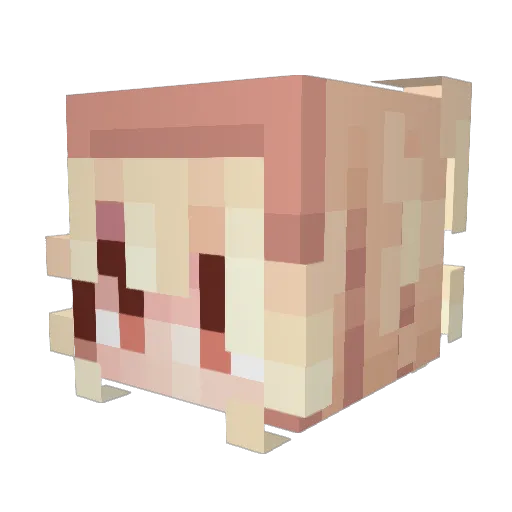 isamarie0510 Minecraft avatar head, 3D render