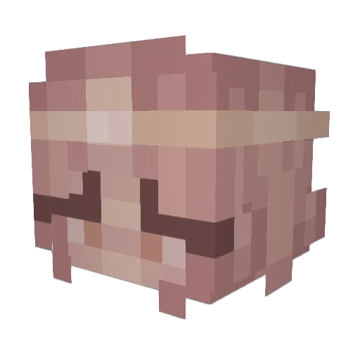 isapo0 Minecraft avatar head, 3D render