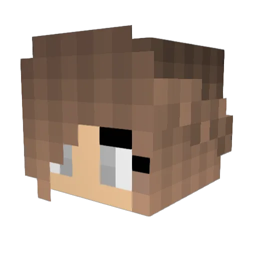 isath1904_NL Minecraft avatar head, 3D render
