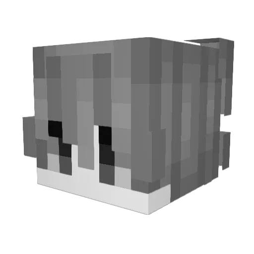 isdl Minecraft avatar head, 3D render