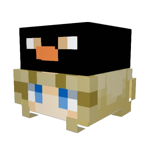 iseepenguin Minecraft avatar head, 3D render