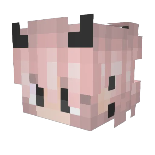 iselldruggs Minecraft avatar head, 3D render
