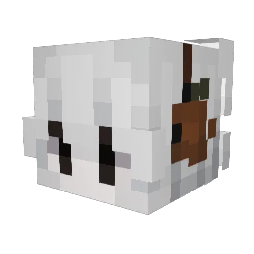 isfl Minecraft avatar head, 3D render