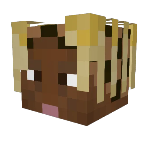 isha9049 Minecraft avatar head, 3D render