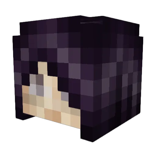 isi_92 Minecraft avatar head, 3D render