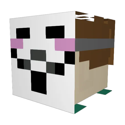 isiigrok2901 Minecraft avatar head, 3D render