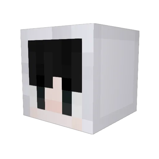 isin121314 Minecraft avatar head, 3D render