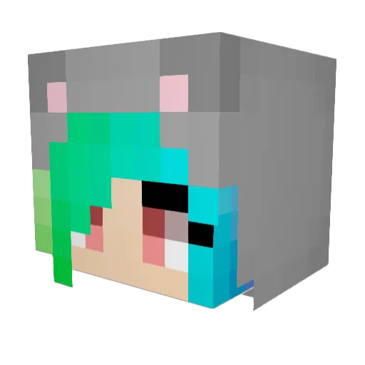 isisgangs Minecraft avatar head, 3D render