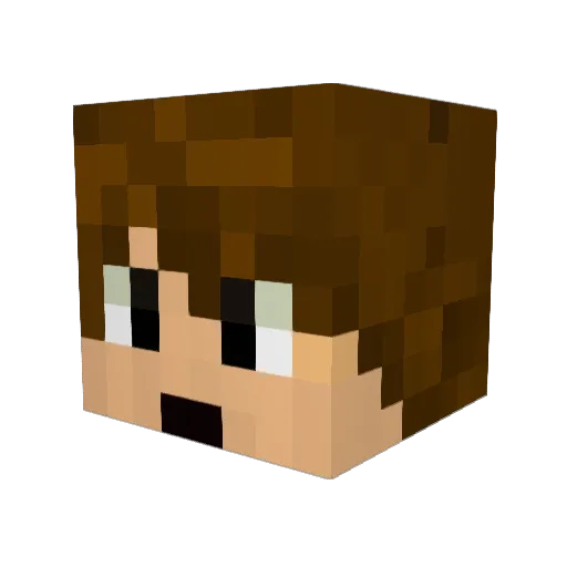 iskatecanada Minecraft avatar head, 3D render