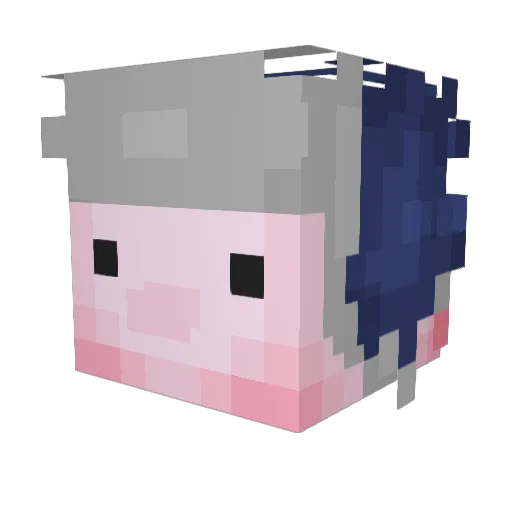 islae30 Minecraft avatar head, 3D render