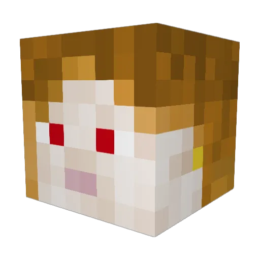 islandkid29 Minecraft avatar head, 3D render