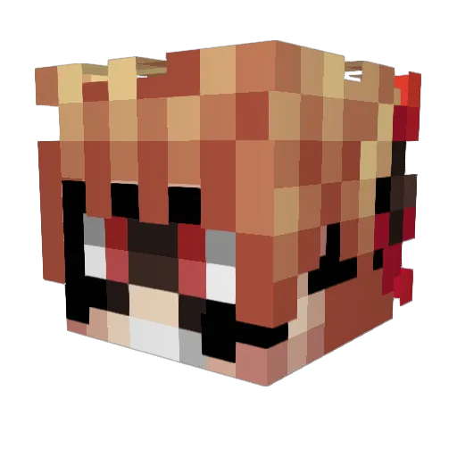 isleptwithu Minecraft avatar head, 3D render