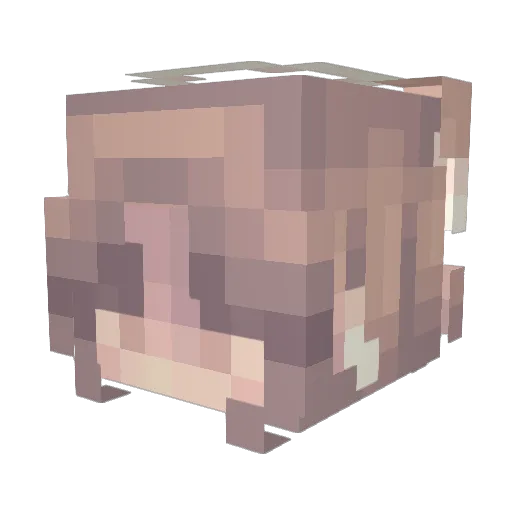 issaabelllla Minecraft avatar head, 3D render