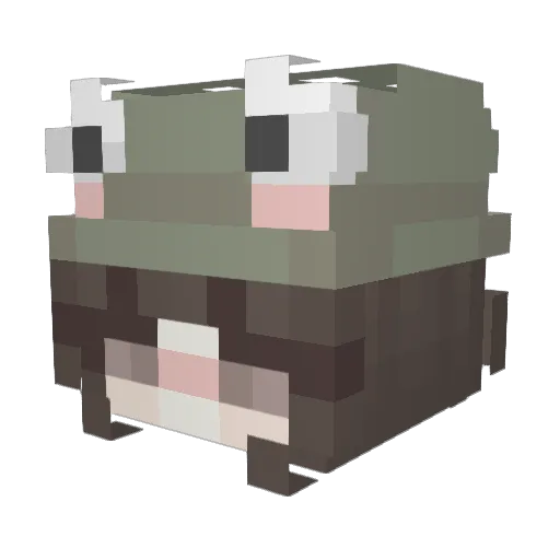 issashewolf Minecraft avatar head, 3D render