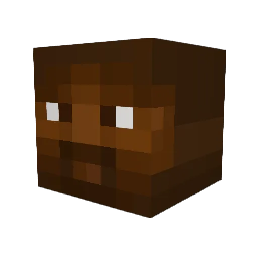 issav Minecraft avatar head, 3D render